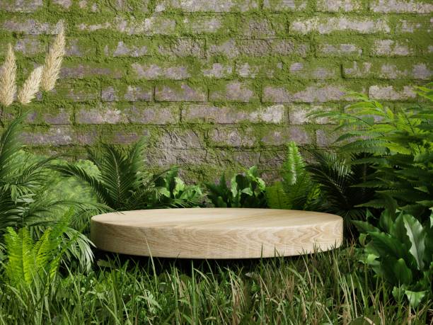 istock Mossy podium in tropical forest for product presentation and wall moss background. 1443216580