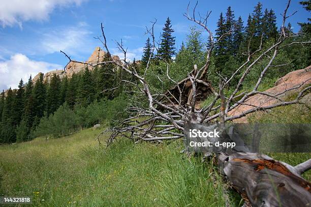 Fallen Tree Stock Photo - Download Image Now - Agricultural Field, Brown, Bush