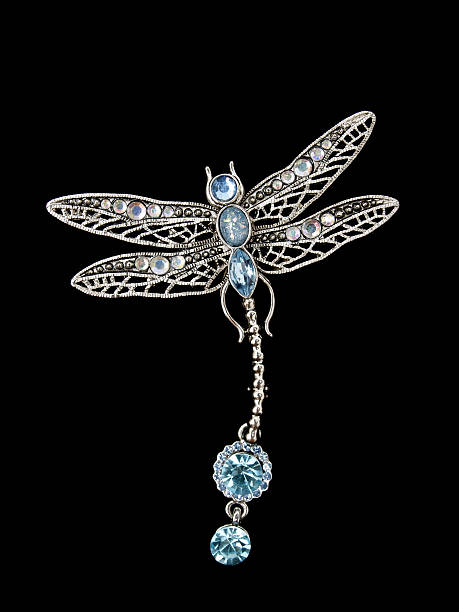 dragonfly jewelry stock photo