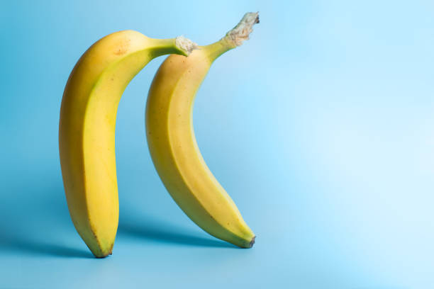 istock Banana levitation. Two yellow bananas on a blue background. 1443219482