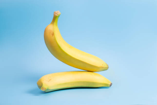 istock Banana levitation. Two yellow bananas on a blue background. 1443219483