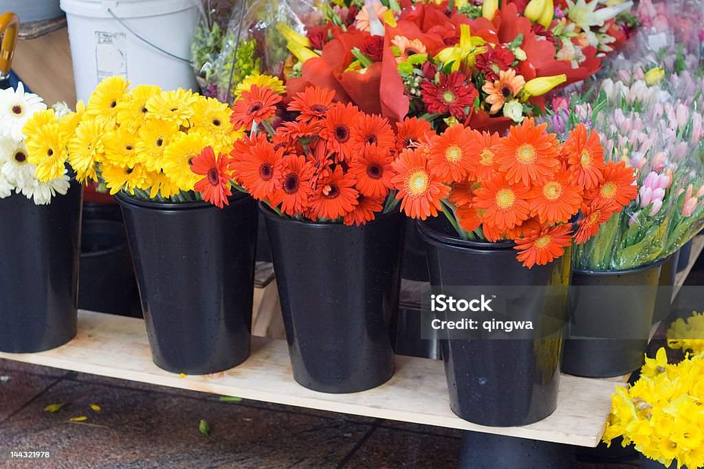 Margherita brillante fiore fiori per la vendita di supporto - Foto stock royalty-free di Fioraio - Negozio