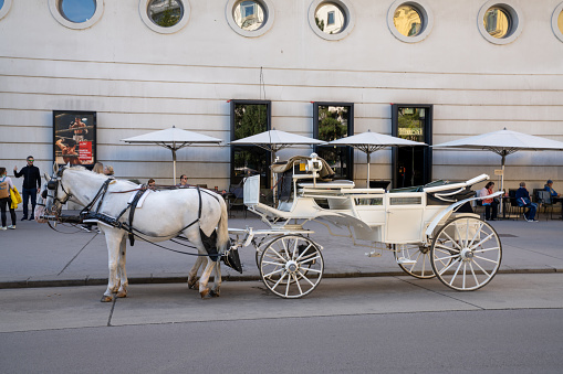 Vienna, Austria - 22 September, 2022: white horse and carriage outisde of the Spanish Riding School in Vienna