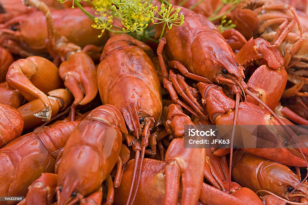 Rojo cangrejo de río - Foto de stock de Alimento libre de derechos