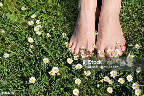 Momente Des Lebens Stockfoto und mehr Bilder von Frische - Frische, Gemütlich, Bildkomposition und Technik