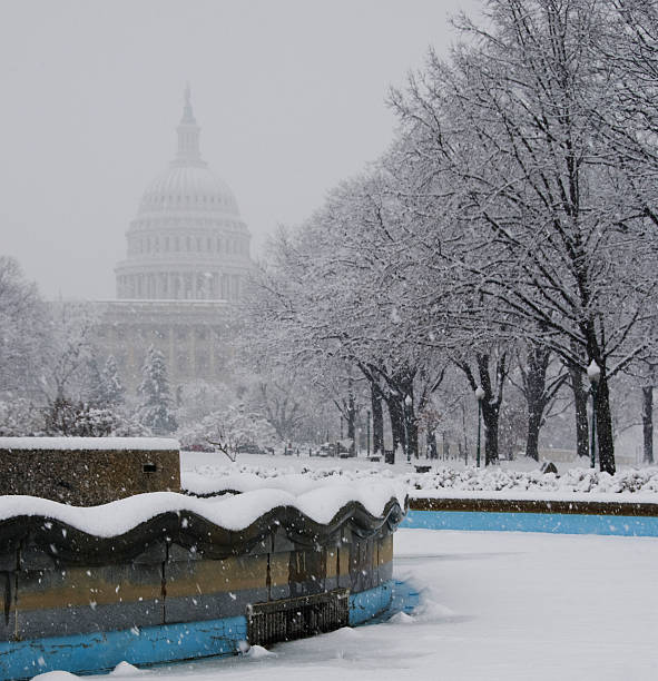 Capitol in Washington, DC. Capitol across the reflecting pool. Washington D.C. landmarks with Capitol and reflecting pond. The U.S. Capitol under blue skies. Congress building in DC