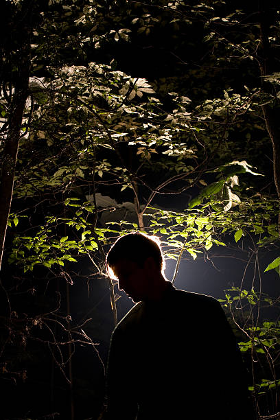 Cтоковое фото Silhouetted молодой человек в лесу в ночное время