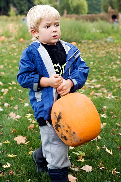 istock Cute young boy carrying the pumpkin he found 144322736