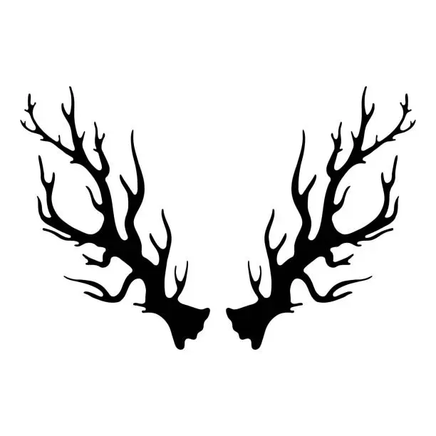 Vector illustration of illustration with animal horns silhouettes isolated on white background