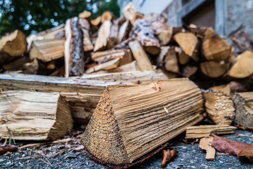 Firewood for the fireplace in winter