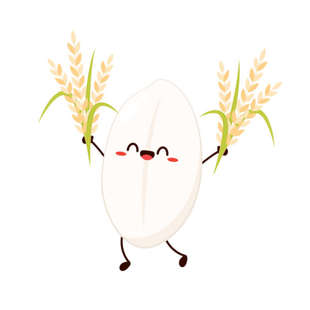 米のキャラクター。白い背景に米のベクター画像。米の種。米袋ベクター画像。農民の帽子のベクター画像。 - rice white rice backgrounds cereal plant点のイラスト素材／クリップアート素材／マンガ素材／アイコン素材