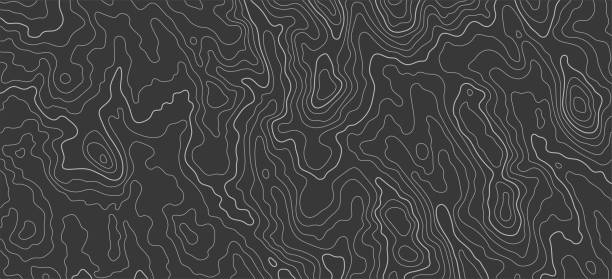 지형지도 패턴, 지형 라인 맵. 야외 벡터 배경, 편집 가능한 획 - topographic map 이미지 stock illustrations