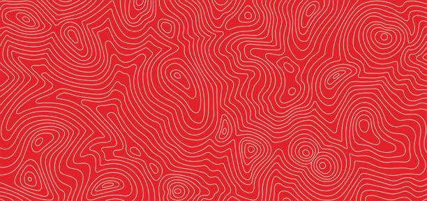 ilustrações de stock, clip art, desenhos animados e ícones de meat steak texture, salmon pattern. beef, pork meat and tuna line vector background, editable stroke - carne de vaca