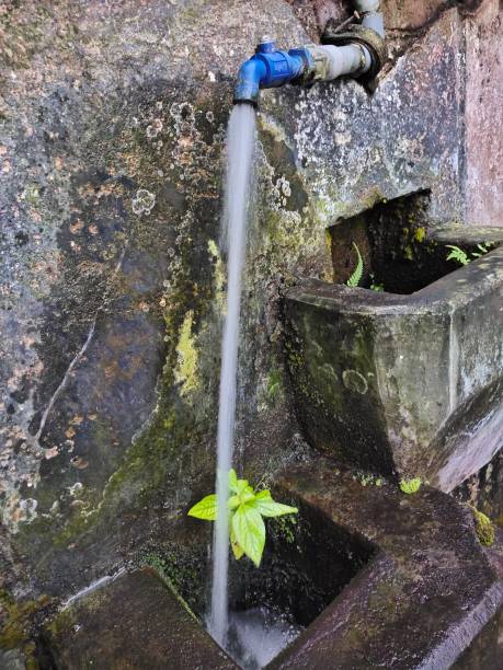 istock The flowing water sources water the green plants 1443228852