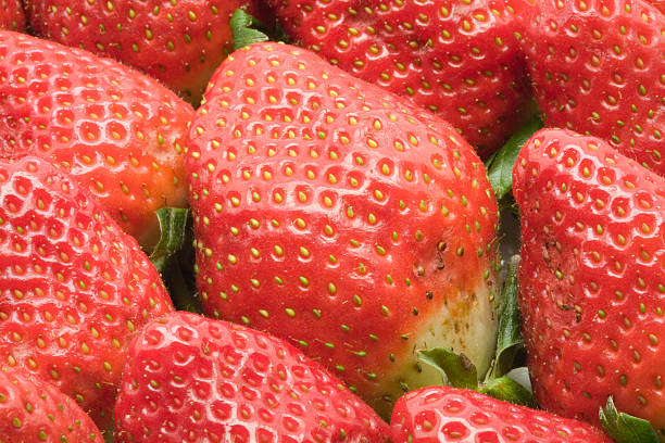 Strawberry background stock photo