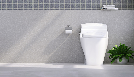 Diseño moderno de inodoro de cerámica blanca, colgador de papel higiénico inoxidable y planta en maceta a la luz del sol moteada desde la ventana en el baño de lujo de pared de terrazo gris photo