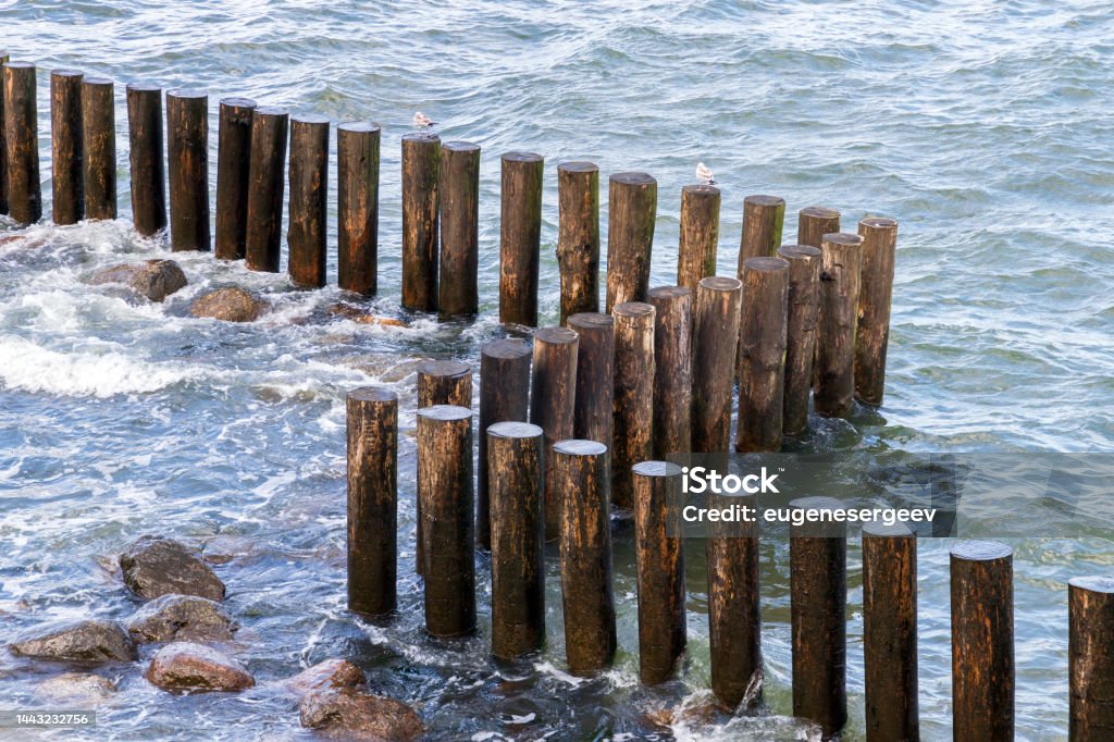 Wooden pillars as a part of breakwater structure, Wooden pillars as a part of breakwater structure, Baltic Sea coast on a sunny summer day. Svetlogorsk, Kaliningrad Oblast, Russia Backgrounds Stock Photo