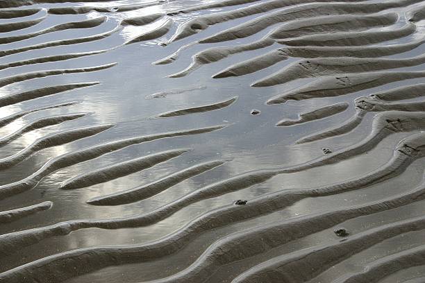 Waves in the sand with bird footprints stock photo