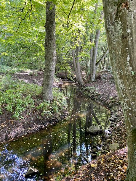istock path in the park next to the river with colorful autumn trees 1443234094