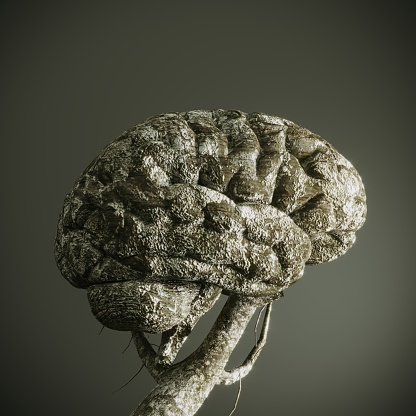 Brain shaped bonsai tree which is lost leaves, symbolizing mental disorder, Alzheimer's disease and mental health concepts. (3d render)
