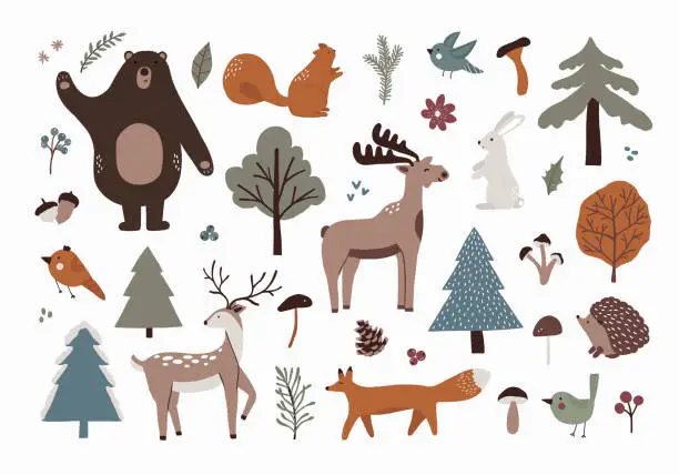 Vector illustration of Set of woodland wild forest animals. Cute Scandinavian cartoon deer, bear, moose, squirrel, bird, fox, hedgehog, rabbit and spruce trees, berry, mushrooms. Vector illustration in hand drawn flat style