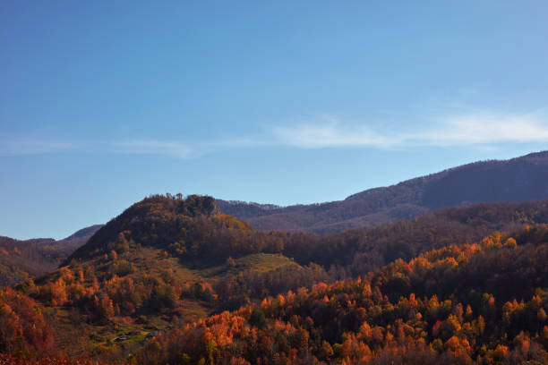 Autumn color trees and countryside landscape.