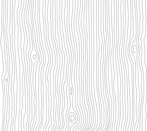 ilustrações de stock, clip art, desenhos animados e ícones de wood grain white texture. seamless wooden pattern. abstract line background. tree fiber vector illustration - wood grain plywood wood textured
