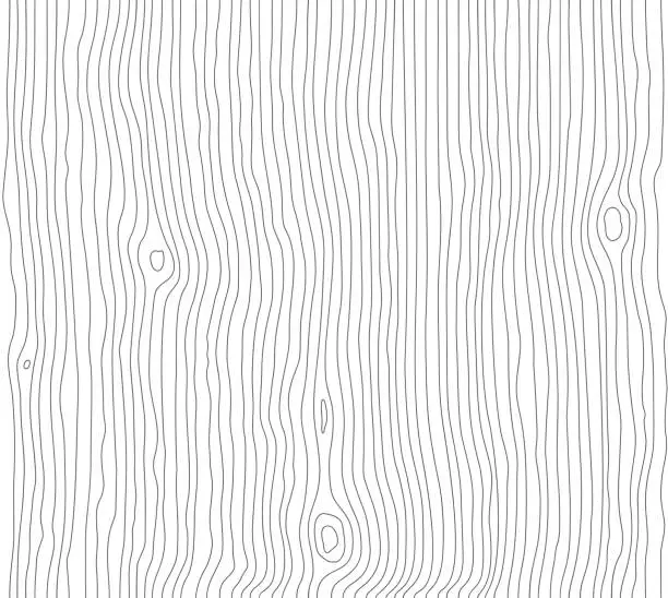 Vector illustration of Wood grain white texture. Seamless wooden pattern. Abstract line background. Tree fiber vector illustration