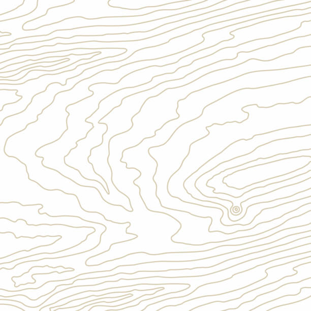 Redwood Data Pattern 60+ Redwood Wood Grain Background Stock Illustrations, Royalty-Free ...