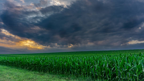 istock Natural phenomenon landscape view. 1443238338