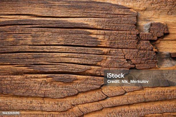 Wood Texture For Background Vintage Textured Backdrop Stock Photo - Download Image Now