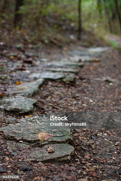 Foto de O Caminho Marcado Com Pedras e mais fotos de stock de Alpondra - Alpondra, Bosque - Floresta, Exterior