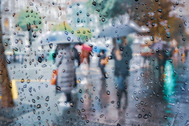 pedestre com um guarda-chuva em dias chuvosos na cidade de bilbao - raining cats and dogs - fotografias e filmes do acervo