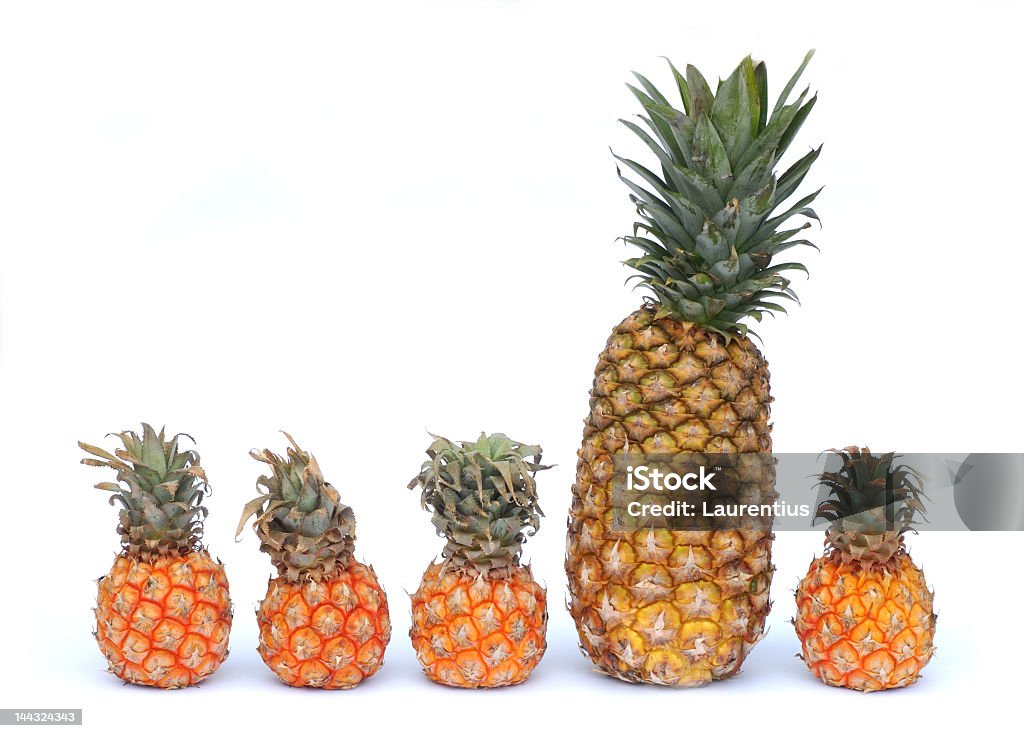 One that does not fit in One freak pineapple is much larger than the other pineapples... Scale Stock Photo