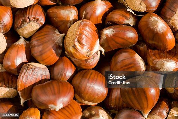 Castanha - Fotografias de stock e mais imagens de Castanho - Castanho, Colheita, Colher - Atividade Agrícola