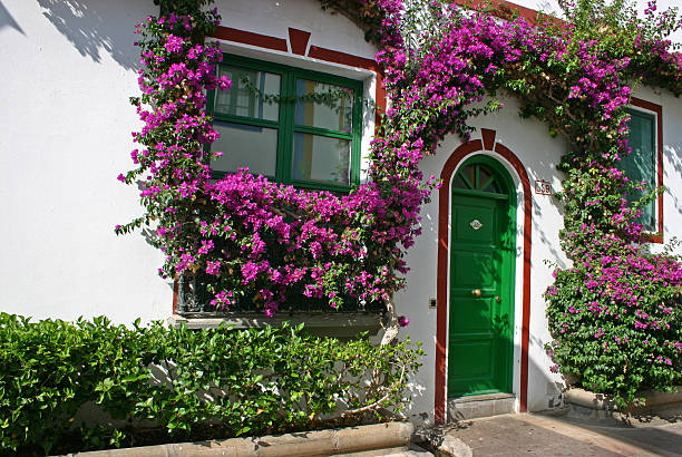 istock Facade of Canaries house 144324591
