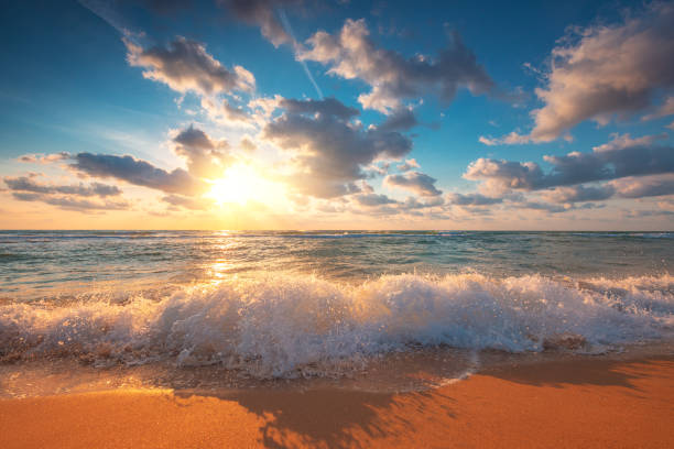 istock Beach sunrise over the tropical sea 1443246432