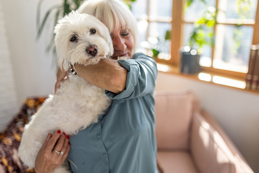 Senior woman embracing Maltese dog in living room at home
