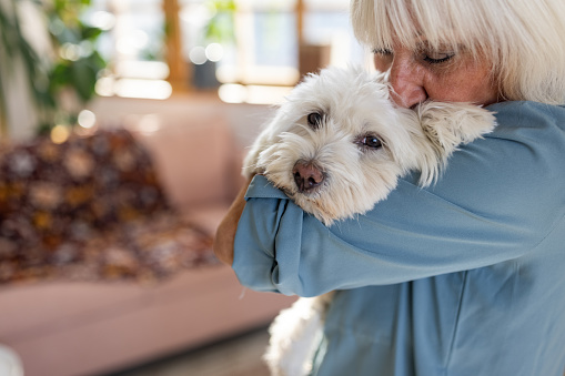 Senior woman embracing Maltese dog in living room at home