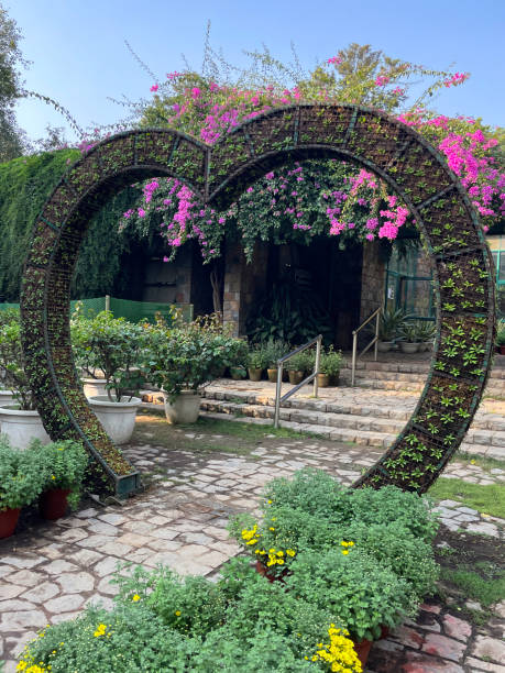 Image of heart-shaped, living archway spanning footpath, pink flowering bougainvillea climbing vine, paved footpath, steps with metal hand rail, focus on foreground Stock photo showing heart shaped, archway spanning a footpath over a garden path in the free to enter landscaped public park of Lodhi Gardens home to the mausoleums of Mohammed Shah and Sikander Lodhi. lodi gardens stock pictures, royalty-free photos & images