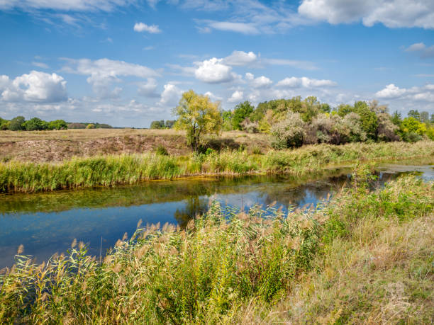 istock Picturesque view of the river at summer day with reflection. 1443249221