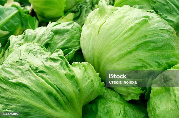 Eisbergsalat Stockfoto und mehr Bilder von Salat - Blattgemüse - Salat - Blattgemüse, Eisbergsalat, Frische