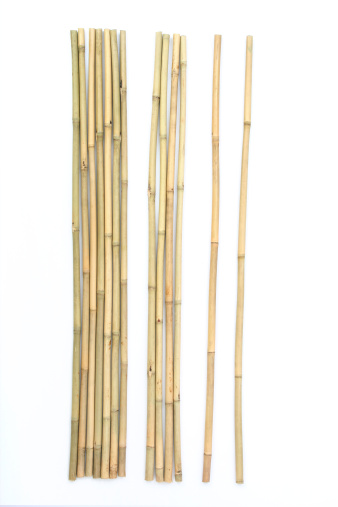 bamboo on white background