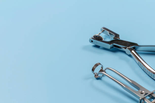 istock Dental hole punch, metal clamp and rubber dam forceps 1443254252