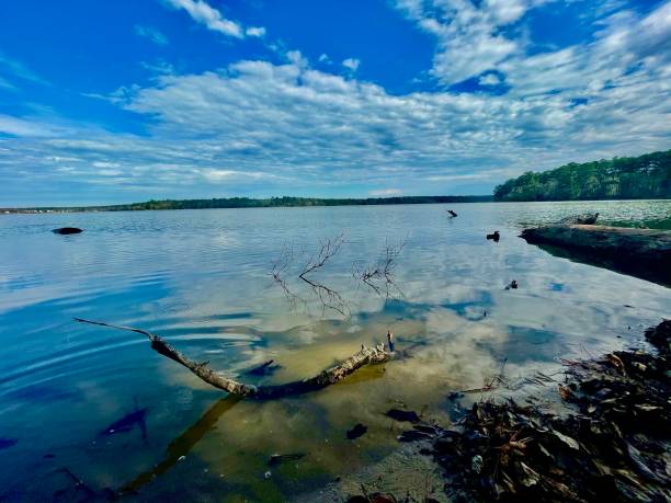 lake conroe 2 - 3621 imagens e fotografias de stock