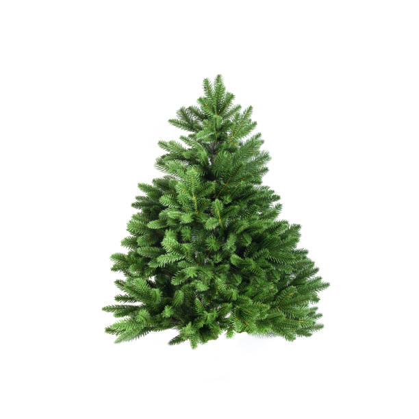 istock Artificial Christmas tree isolated on white background. Xmas holiday. Reusable cast Christmas tree. 1443256139
