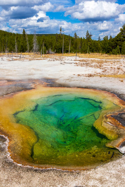 istock Hot spring at Yellowstone National Park. USA. 1443256720