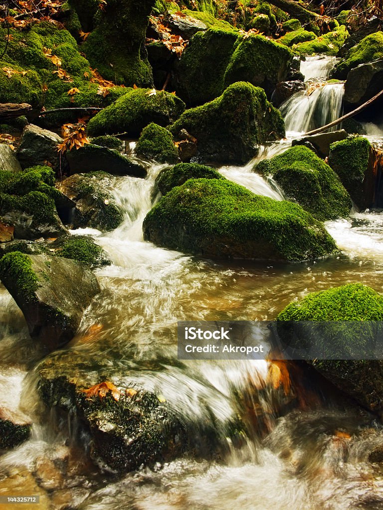 Cataratta creek - Foto stock royalty-free di Acqua