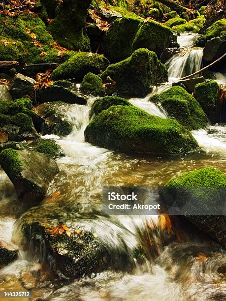 Cataratta Creek - Fotografie stock e altre immagini di Acqua - Acqua, Albero, Ambientazione esterna