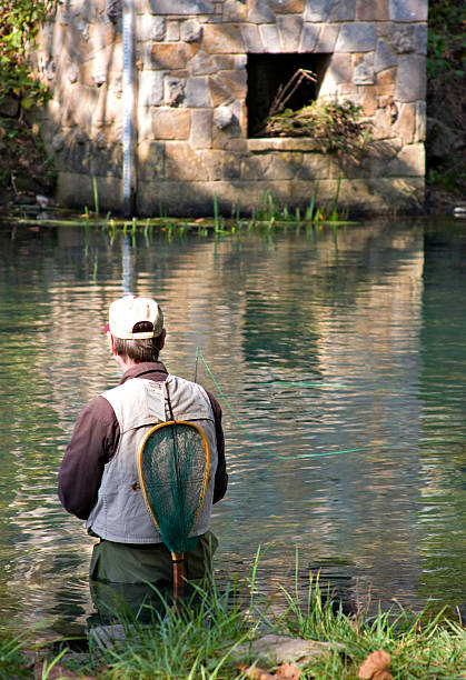 Fly Fishing stock photo